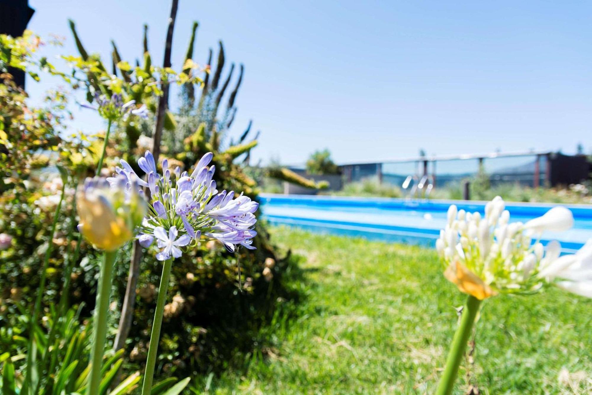 Park Inn by Radisson Los Olivos de Vallenar Eksteriør bilde